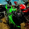 king_e1308