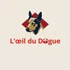 loeildudogue