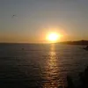 paauulaaaa10
