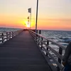 www.tiktok.de6
