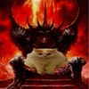 dxdfgh6