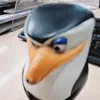 teuss_2