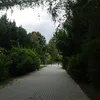 el_filipo13