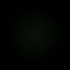 portela_inx