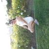 annabel.sb