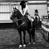 zperformancehorses