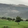 haddabiyah