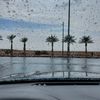 faris_a_s