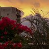 sam_sammy0620