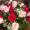 muriellejoseph870
