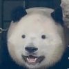 mogy_914