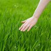 touchinggrass9000