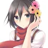 mikasa_0015