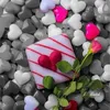 amirasaadoun370