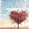 monicacamacho532