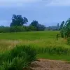 zuuuuu125