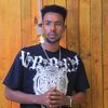 tollii_