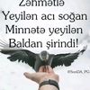 caresiz_91