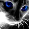 savchuk_elena