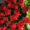 ydjsowjs7383