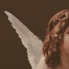 فراشه تعز 🦋