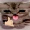 cellspyy