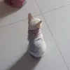 toibuonguquas