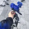 janaahmad975
