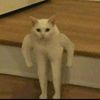 whatsup20_4