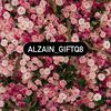 alzain_giftq8