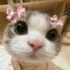 sitihamimah723