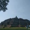 cowopecintawayang
