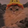 bog34.tiktok