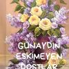 44yavuz44444