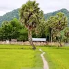 huynhtrungtuong67.com