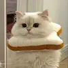 sunnyunboxing7