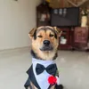 xuan_quyt