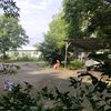 hanh_hoang52