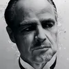 visaoampla44