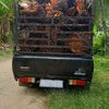saifuddinsaiful71