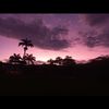 rokito_de_web