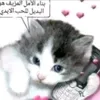 Sn1qerss