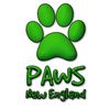pawsnewengland08