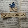 esraaessam304