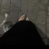 hno._24
