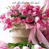 dy7q9mp59vev