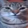 micxah