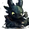 elfenkrone1
