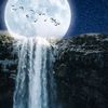ror_1902