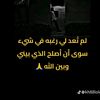 user5473093072584